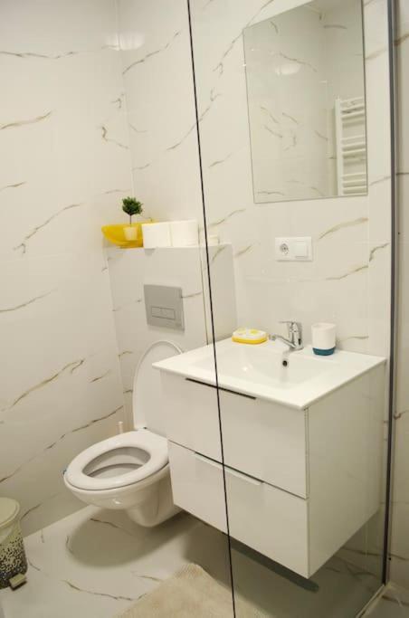 Apartmán 3 Dream Apartmant 3+Parcare Gratuita Oradea Exteriér fotografie
